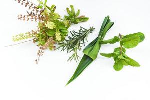 keukenkruidentuinconcept - natuurlijke verse kruiden en specerijen op een witte achtergrond in de keuken voor ingrediëntenvoedsel foto