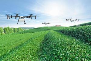 landbouwdrone vliegt naar bespoten kunstmest op de groene theevelden, smart farm 4.0 concept foto