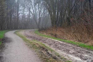 weg in het landschap foto