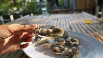 verse oesters met dipsaus foto