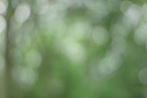 groene bokeh in het bos. licht schijnt door de bladeren in bokeh. foto