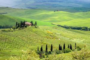 landbouwgrond onder pienza in toscane foto