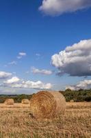 hooibalen in een veld na de oogst foto