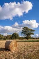 hooibalen in een veld na de oogst foto