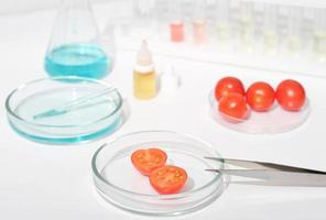 tomaten in een petrischaal op een laboratoriumtafel. chemische stof en reageerbuizen. biotechnologisch onderzoek van genetisch gemodificeerd voedsel. foto