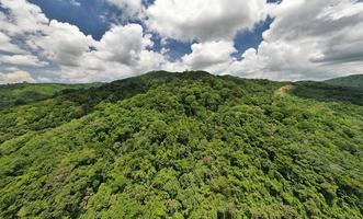 luchtfoto drone shot van panorama overvloedig regenwoud landschap natuur bergen uitzicht in phuket thailand foto