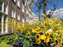 de stad amsterdam in nederland foto