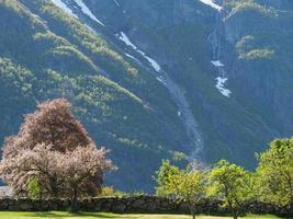 het kleine dorpje eidfjord in de noorse hardangerfjord foto