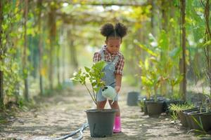 kleine afro kid boer meisje in de tuin planten water geven en groenten oogsten. foto