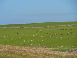 de shetlandeilanden in schotland foto