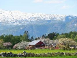 het kleine dorpje eidfjord in de noorse hardangerfjord foto