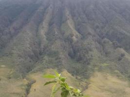 berg park natuur bromo foto