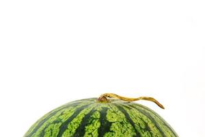 watermeloen fruit op witte achtergrond foto