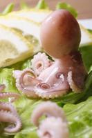 hele kleine octopus op sla close-up verticaal foto