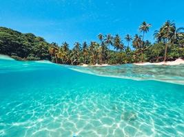 tropisch eiland palm en onderwater foto