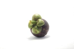 mangosteen is de koningin van de Thaise vruchten. het is een seizoensfruit, in de volksmond geconsumeerd en geconsumeerd als biologisch, niet-toxisch fruit, geëxporteerd door Azië en Europa op een witte achtergrond. foto