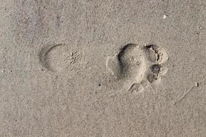 mooie gedetailleerde voetafdrukken in het zand van een strand tijdens de zomer. kopieer ruimte achtergrond foto