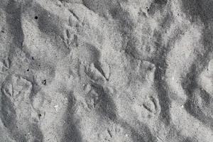 gedetailleerd close-up zicht op zand op een strand aan de Oostzee foto