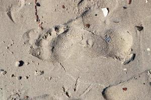 mooie gedetailleerde voetafdrukken in het zand van een strand tijdens de zomer. kopieer ruimte achtergrond foto