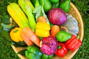 groenten en fruit, natuurlijk stilleven voor gezonde voeding