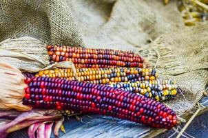 Indiase decoratieve maïs op boerderij display foto