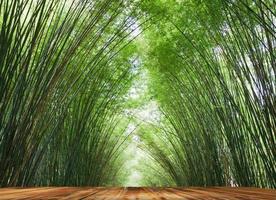 achtergrond en textuur van mooi in de natuur foto