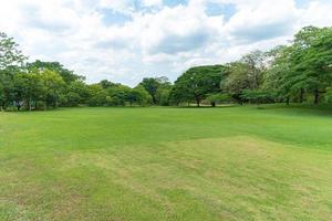 groene bomen met prachtige weide in het park foto