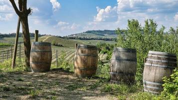 houten wijnvaten tussen de wijngaarden in de piemontese langhe bij alba, in het voorjaar van 2022 foto