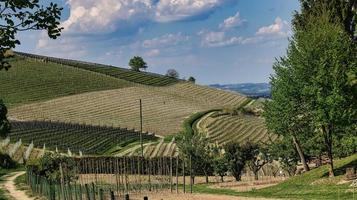 landschappen van de piemontese langhe van barolo en monforte d'alba, in het voorjaar van 2022 foto