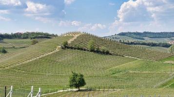 landschappen van de piemontese langhe van barolo en monforte d'alba, in het voorjaar van 2022 foto