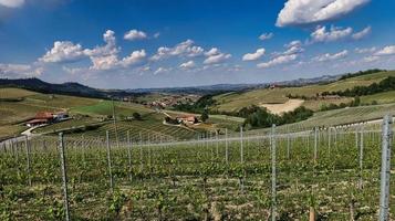 landschappen van de piemontese langhe van barolo en monforte d'alba, in het voorjaar van 2022 foto