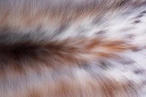 dierenhuid en wol patroon textuur achtergrond foto