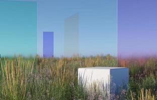 podium op natuurgras of onkruidveld 3d render illustratie foto