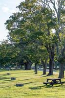 rustige en stille tijd in het park met bank bij zonsondergang foto