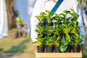 groene planten in zwarte potten concept van hou van de wereld en hou van natuur natuurbehoud foto