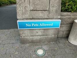blauw geen huisdieren toegestaan teken op cementmuur foto