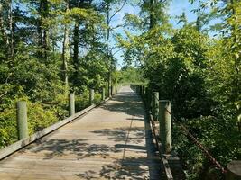 houten promenade over water met groene planten en een metalen ketting en schaduw foto