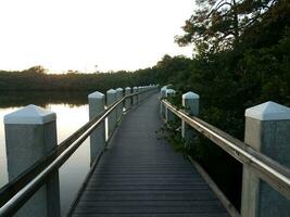 promenade of pad met reling en water in het meer foto