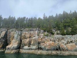 hoge rotswanden aan de kust met bomen in Maine foto