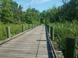 houten promenade over water met groene planten en een metalen ketting en schaduw foto