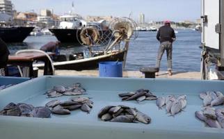 verse vis te koop in vieux port in marseille, frankrijk foto