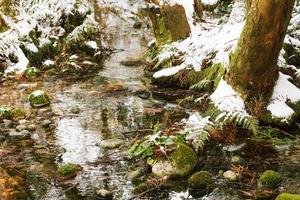 kreek in winter forest