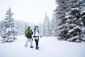 wandelaar in het winter forest