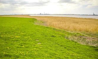 noord-duitse kust natuur landschap panorama van bremerhaven duitsland. foto