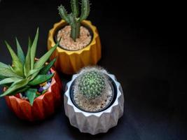 kleurrijke metalen geometrische plantenbakken. geschilderde betonnen plantenbakken voor huisdecoratie foto