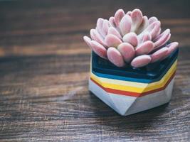 retro stijl geometrische plantenbakken. geschilderde betonnen plantenbakken voor huisdecoratie foto