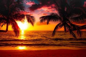 prachtige zonsondergang tropisch strand met palmboom en roze lucht voor reizen en vakantie in vakantie ontspannen tijd foto
