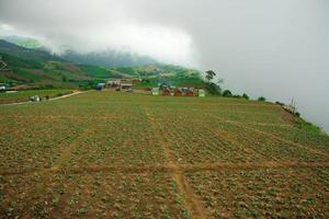 landschap van landbouwgebied op berg, in thailand foto