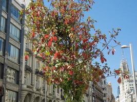 de stad madrid in spanje foto