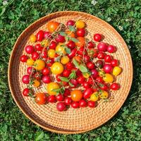 diverse kleurrijke tomaten foto